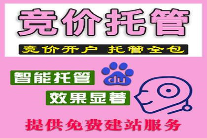 深度解析：百度竞价托管运营的三大经典案例